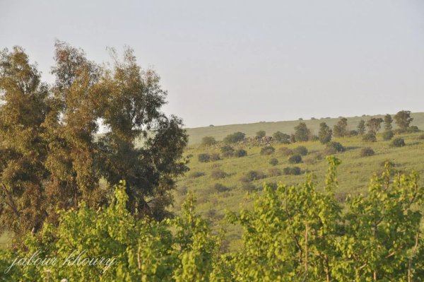  | موسوعة القرى الفلسطينية