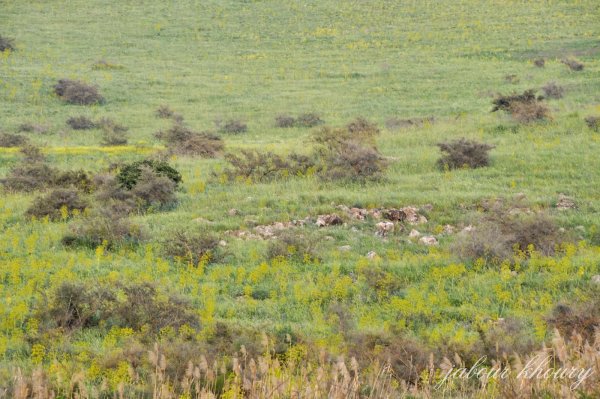  | موسوعة القرى الفلسطينية