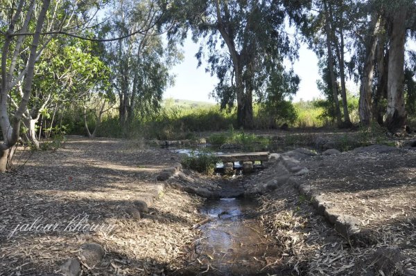  | موسوعة القرى الفلسطينية