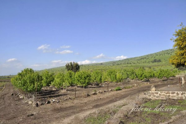  | موسوعة القرى الفلسطينية