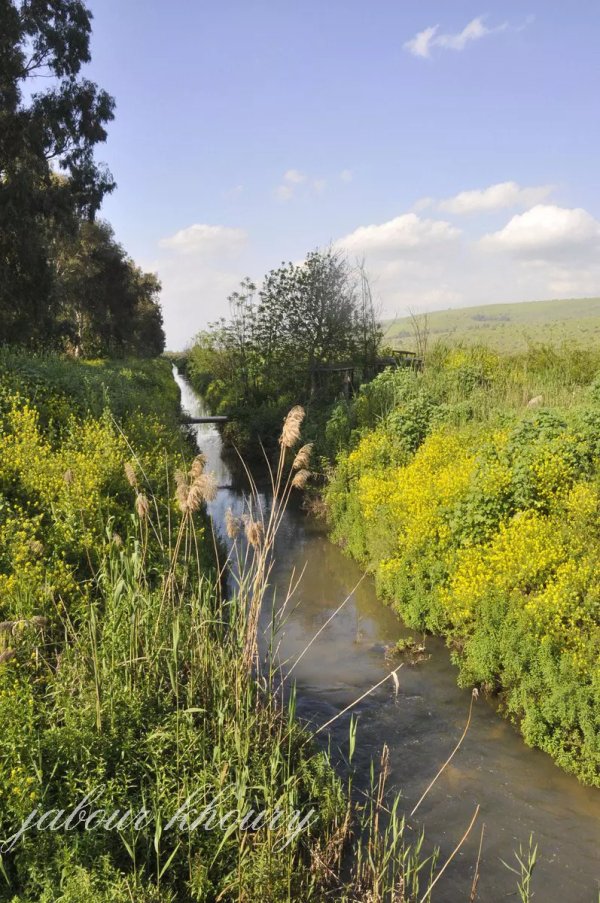  | موسوعة القرى الفلسطينية