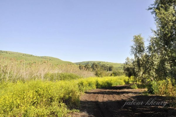  | موسوعة القرى الفلسطينية