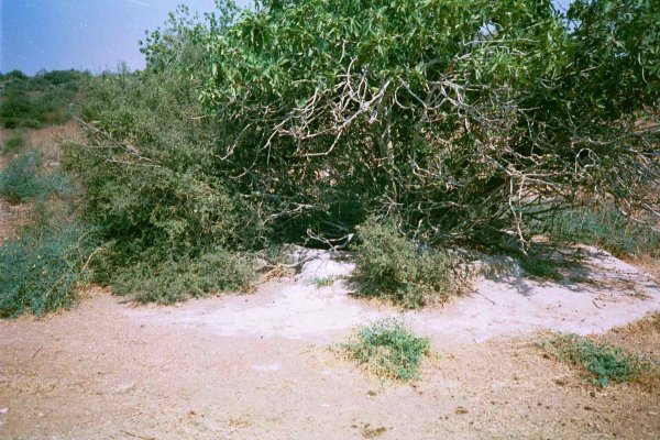 إحدى آبار القرية المدمرة