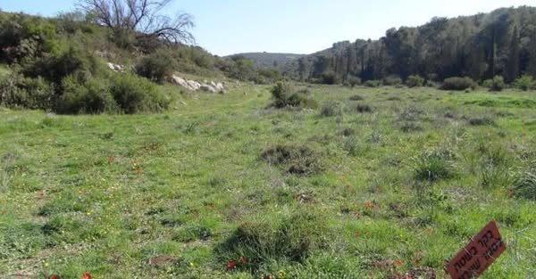 دير نخاس / الخليل