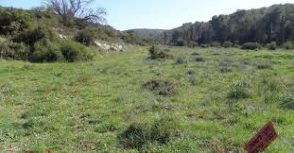 دير نخاس / الخليل