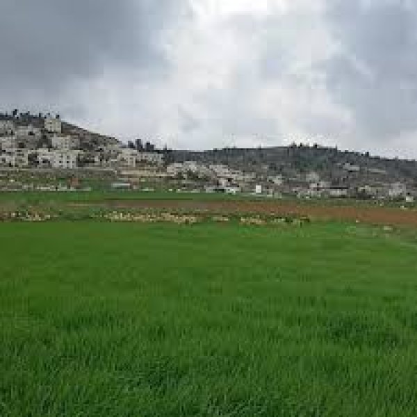 دير نخاس / الخليل