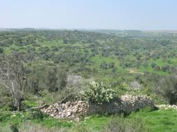 دير نخاس / الخليل