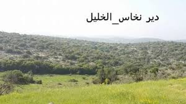 دير نخاس / الخليل