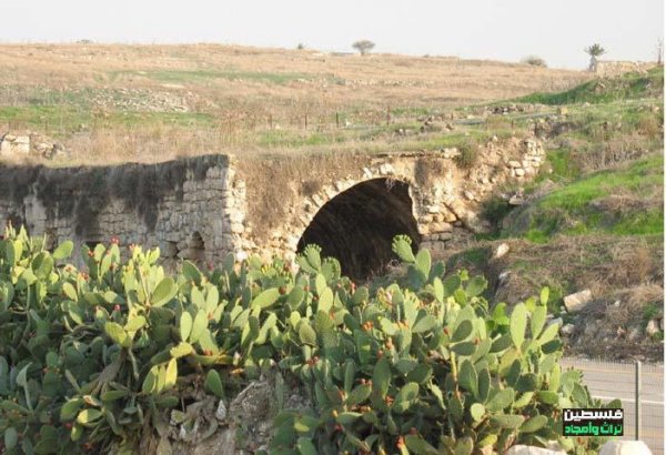  | موسوعة القرى الفلسطينية