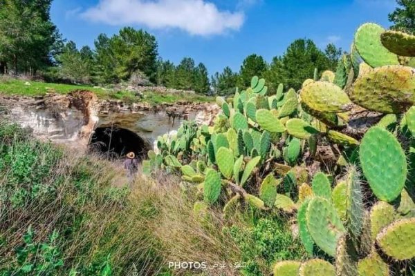  | موسوعة القرى الفلسطينية