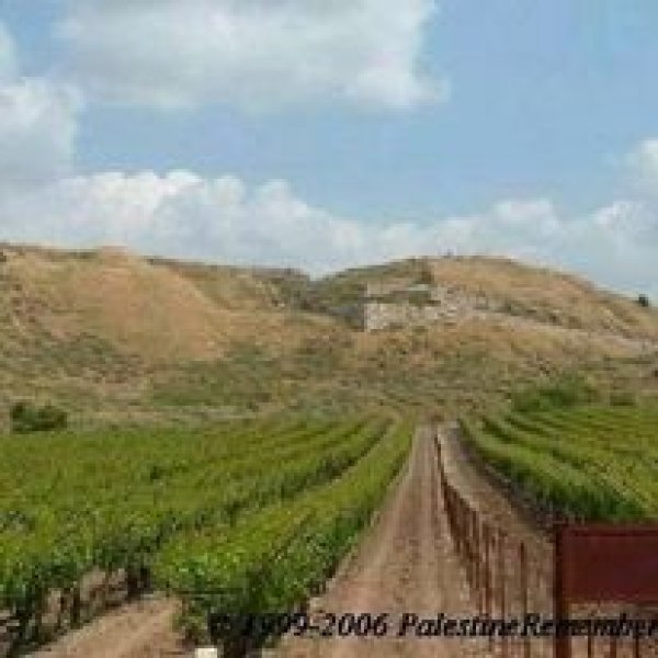  | موسوعة القرى الفلسطينية