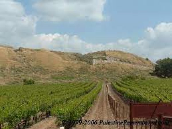  | موسوعة القرى الفلسطينية