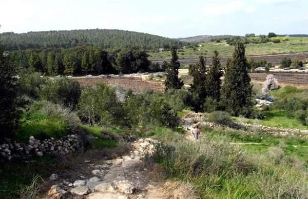  | موسوعة القرى الفلسطينية