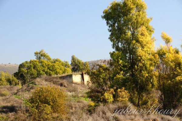  | موسوعة القرى الفلسطينية