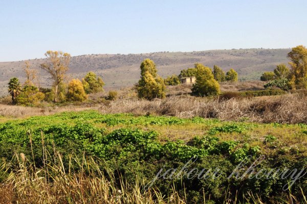  | موسوعة القرى الفلسطينية