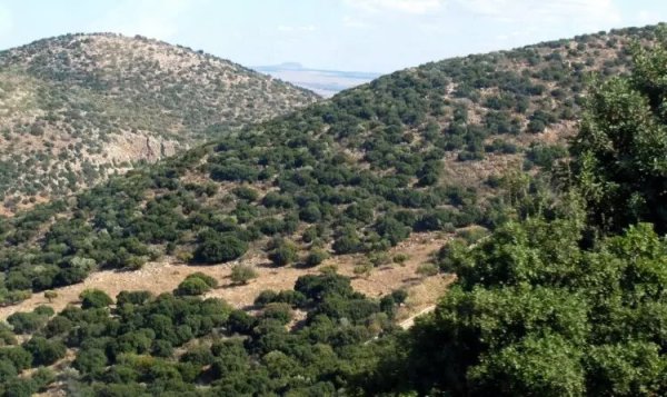 أراضي قرية علما نقلاً  عن موقع فلسطين في الذاكرة