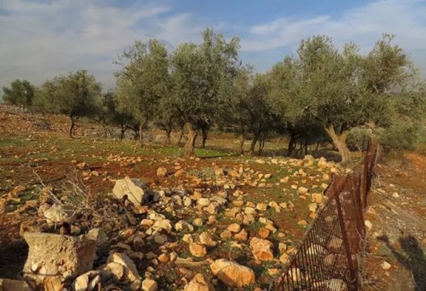 أراضي قرية علما نقلاً  عن موقع فلسطين في الذاكرة