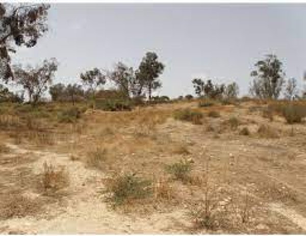 قرية جولس المهجرة فضاء غزة