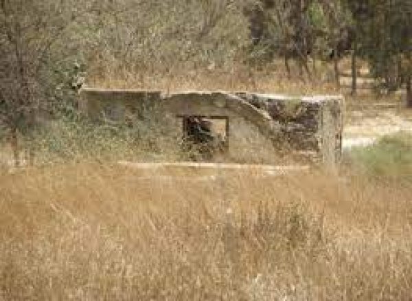 قرية جولس المهجرة فضاء غزة