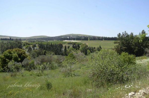  | موسوعة القرى الفلسطينية