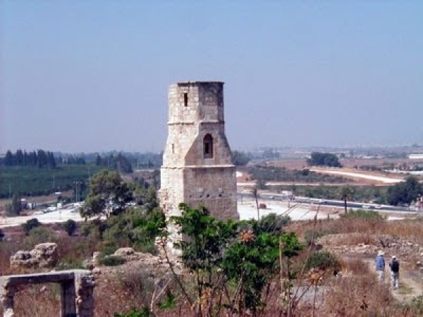 قرية نعليا / غزة