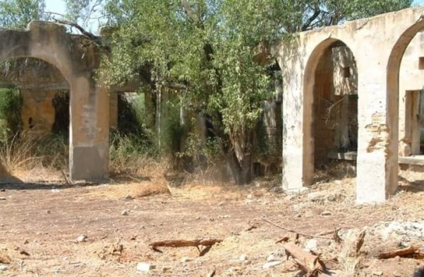 قرية نعليا / غزة