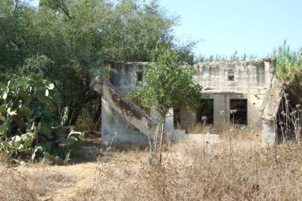 قرية نعليا / غزة