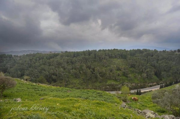 إطلالة من أراضي صلحة الشرقية على أراضي فارة التي تقع خلف التل المقابل ووادي فارة يجري بين التلتين وبمحاذة الشارع الظاهر في الصورة ويستمر حتى التقاءه بوادي ديشوم، نقلاً عن موقع فلسطين في الذاكرة