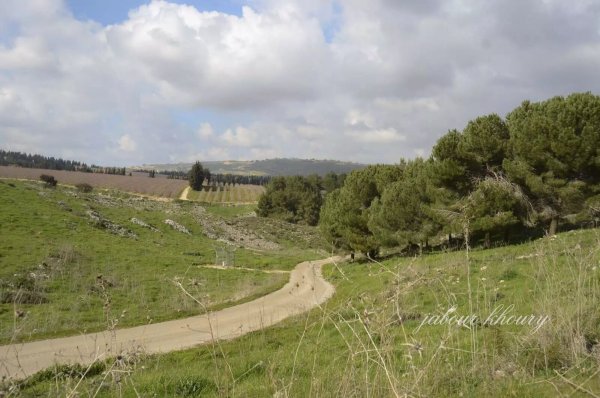 القسم الغربي من أراضي القرية وفي الجهة المقابلة تظهر بلدة يارون اللبنانية، نقلاً عن موقع فلسطين في الذاكرة