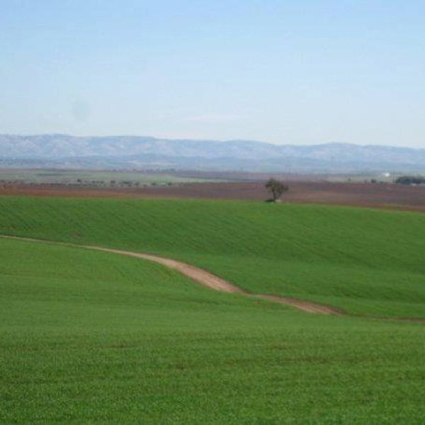 قرية كوكبا / غزة