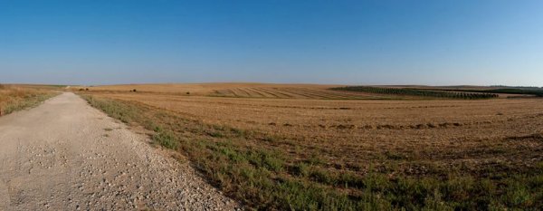 قرية كوكبا / غزة