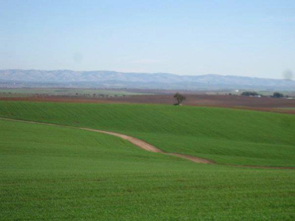 قرية كوكبا / غزة