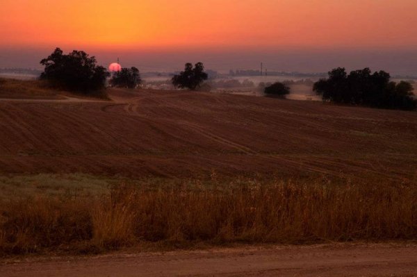 قرية كوكبا / غزة