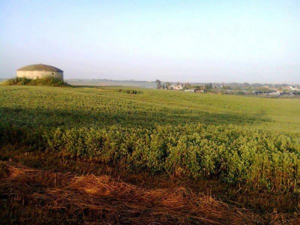 قرية كوكبا / غزة