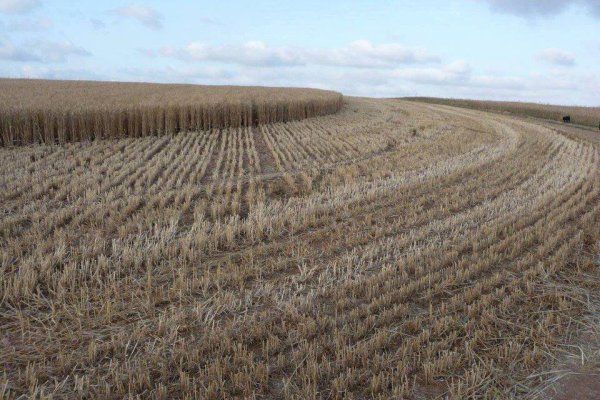 قرية كوكبا / غزة