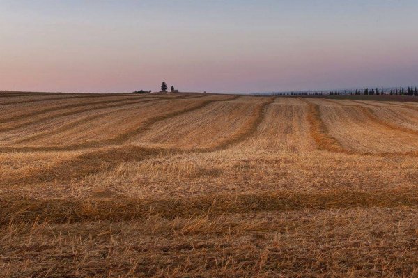 قرية كوكبا / غزة