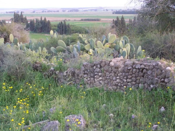 أنقاض منزل لعائلة عابد، نقلاً عن موقع فلسطين في الذاكرة