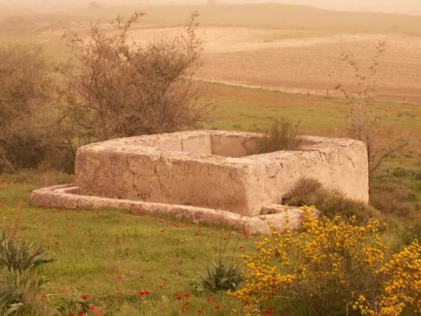 بركة مياه كانت تستخدم لري المحاصيل والماشية شمال شرقي القرية، نقلاً عن موقع فلسطين في الذاكرة