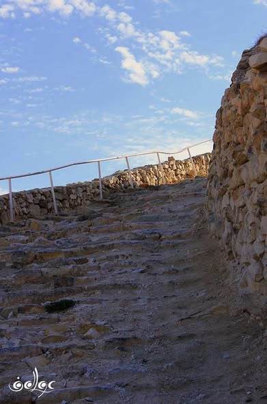 جبل الفري ديس / بيت لحم، بعدسة  عواطف روميه