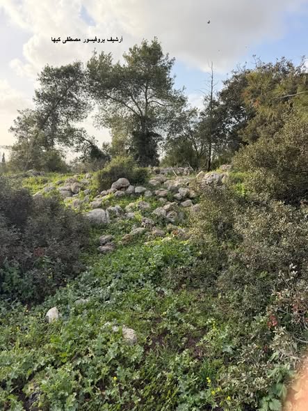  | موسوعة القرى الفلسطينية