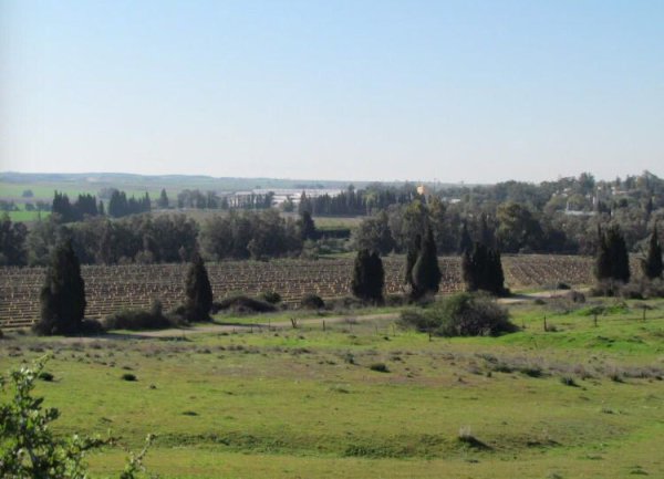 صور حديثة لقرية دمرة، نقلاً عن موقع فلسطين في الذاكرة