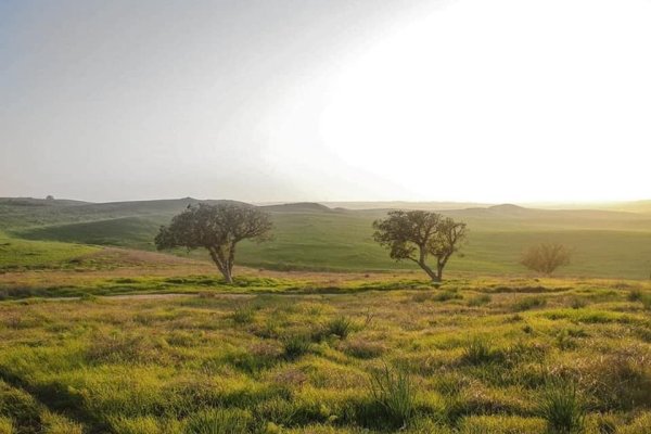 قرية الجمامة - بئر السبع