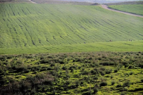 قرية الجمامة - بئر السبع