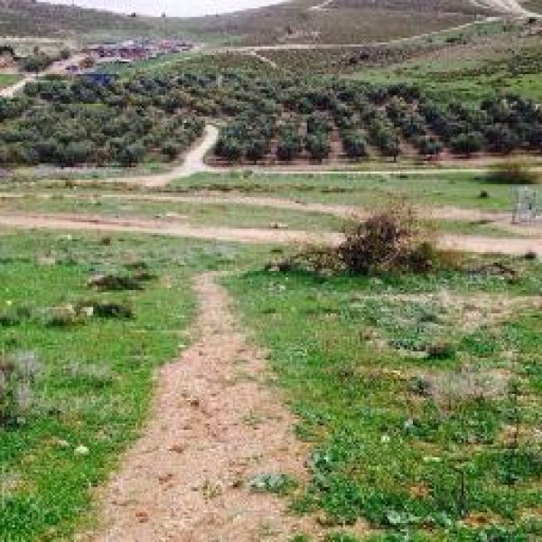 قرية الجمامة - بئر السبع