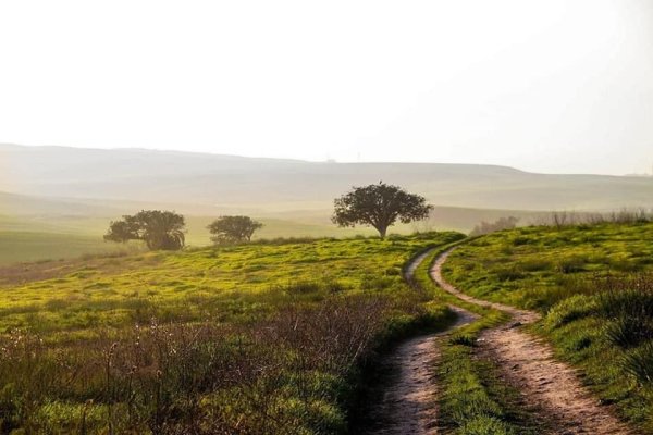 قرية الجمامة - بئر السبع