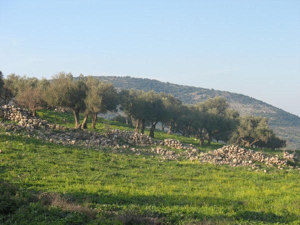  | موسوعة القرى الفلسطينية