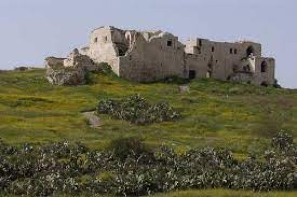  | موسوعة القرى الفلسطينية