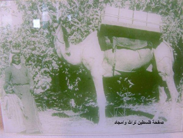  | موسوعة القرى الفلسطينية