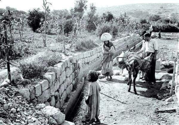  | موسوعة القرى الفلسطينية