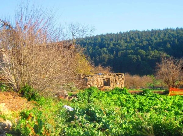  | موسوعة القرى الفلسطينية